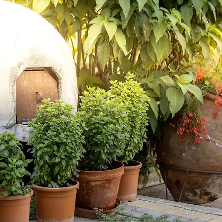 Stephanos Hotel apartamentowy Polis