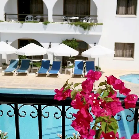 Stephanos 3* Polis